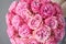 Floral carpet, flower texture, shop concept. Beautiful fresh blossoming flowers roses, spray roses. Blossom in vases and
