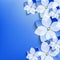 Floral celebratory background with blue 3d flowers