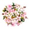 Floral circle, pink flowers - apple, cherry, sakura blossom. Watercolor
