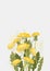 Floral Clean Template with bouquets of flowers without text