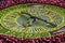 Floral Clock, Edinburgh Scotland