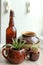 Floral compositio with cactuses in ceramic pots, a teapot and a mug, a bottle of dark glass, kitchen, horizontal photo, dark