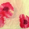 Floral crumpled fabric with red poppies .