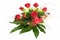Floral decoration created from red roses, yellow freesias