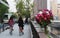 Floral decorations beside the streets in the city