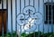 A floral design in cast iron fence.