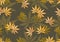 Floral design pattern seampless leaf grey background