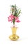 Floral display in a gold vase