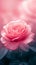 Floral elegance Beautiful pink red rose in spring bloom backdrop