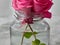 Floral Elegance Unveiled: Intricate Glass Jar Rose Portrait