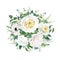 Floral elegant wedding round bouquet vector watercolor editable illustration. Tender cream yellow cabbage garden Rose, white