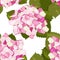 Floral exotic vintage decoration. Vector background. Modern wild flowers hydrangea print