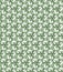 Floral Fine Seamless Pattern