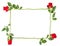 Floral flat lay Red Roses isolated white background Flower frame