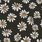 Floral flower background with daises chamomiles. Vector