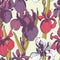 Floral flower iris seamless hand drawn pattern.Colored ink splat