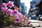 Floral flowers amidst the cityscape, outdoor session images