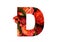 Floral font letter D from a real red-orange roses for bright design. Stylish font of flowers for conceptual ideas