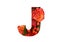 Floral font letter J from a real red-orange roses for bright design.