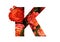 Floral font letter K from a real red-orange roses for bright design.