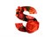 Floral font letter S from a real red-orange roses for bright design. Stylish font of flowers for conceptual ideas