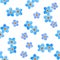 Floral Forget-me-not flower seamlrss pattern, watercolor illustration