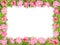 Floral frame with pink briar on white