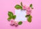 Floral frame with pink roses on a pink background. Corners of flowers with empty place for text