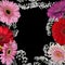 Floral frame with red and pink gerbera flowers and gypsophila