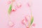 Floral frame with tulips flowers on pink background. Flat lay, top view. Spring time background with copy space