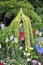 Floral Garden from Liuhe Pagoda or Six Harmonies Pagoda Park in Hangzhou