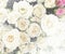 Floral grunge striped vintage background with roses