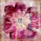Floral Gypsy Bohemian Tapestry Scrapbook Background