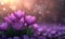 Floral Harmony: Vector Style Crocus with Bokeh Lights and Creative Space for Text