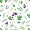 Floral herb pattern. Delicate botanical herbals, elegant blossom decoration and gentle nature plants. Decor kitchen