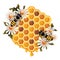 Floral Honey Concept