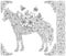 Floral horse. Adult coloring book page