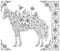 Floral horse coloring book page