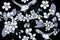 Floral illustartion with birds. Monochrome graphic design.