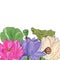 floral illustration with Delicate lotus flower, leaves,