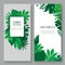 Floral leaves vector illustration invitation card. Green forest leaves herb plant and greenery mix. Natural botanical
