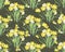 Floral narcissus retro vintage background