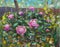 Floral Oil painting Beautiful bouquet in garden of flowers of purple peonies, lush red roses. Flowers in garden, a bouquet of flow