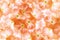 Floral orange background of white-pink geranium flowers. Close-up. Flower composition.