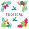 Floral paradise hand drawn summer tropical corner elements