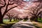 floral pathway in park