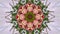 Floral pattern, abstract kaleidoscope, video for meditation and yoga, creative multi-colored background.