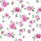 floral pattern with cute abstract roses. print with delicate little roses