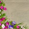 Floral pattern of daisies, phloxes, violets on gray . Free space for text