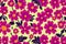 Floral pattern. Enchanting Blooms. A Captivating Floral Pattern Background. Generative AI